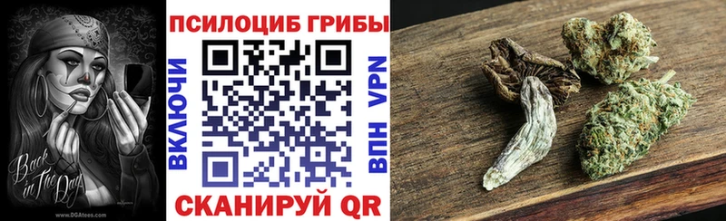 Галлюциногенные грибы GOLDEN TEACHER  Фрязино 
