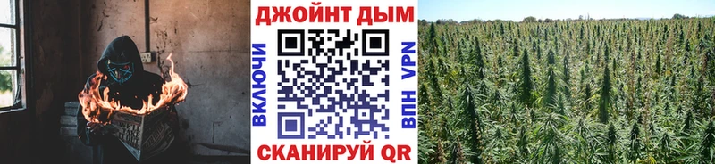 Бошки марихуана Amnesia  Фрязино 